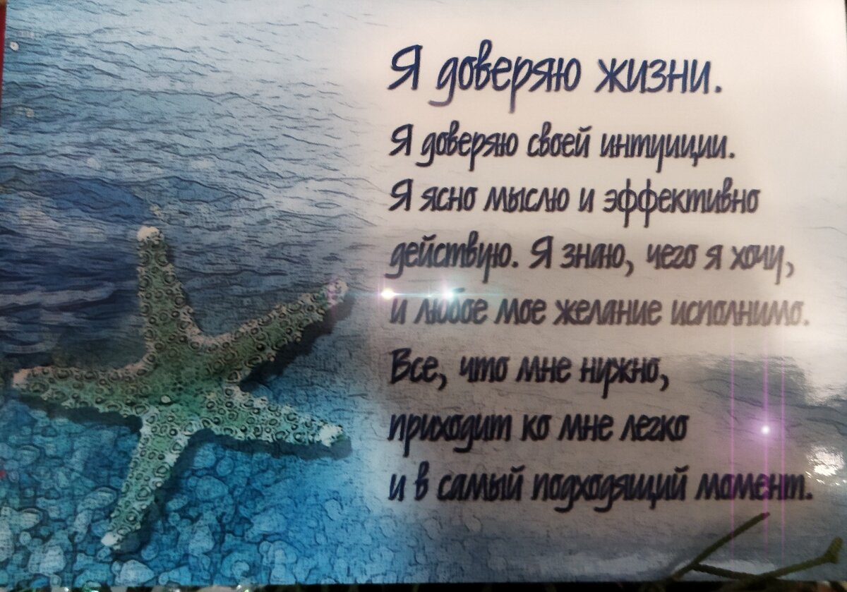 Составьте свою аффирмацию 19 декабря вместе с Морозной Луной