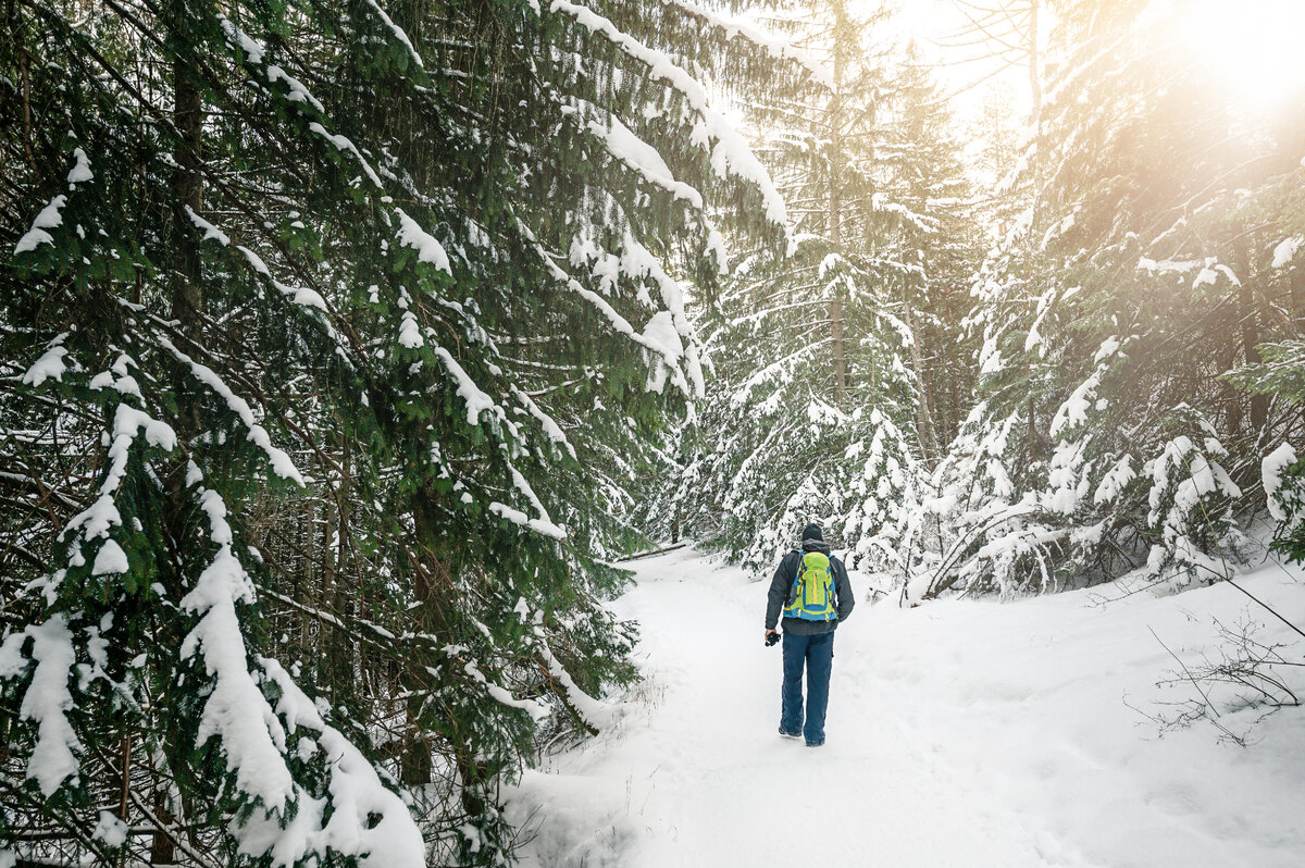 Праздничная прогулка.