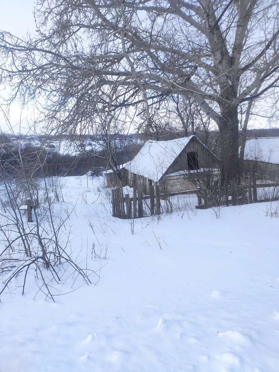 И следов нет, даже заячьих