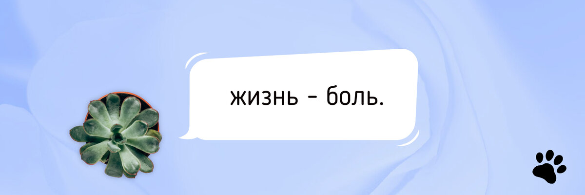 Антропоморфизм чистой воды
