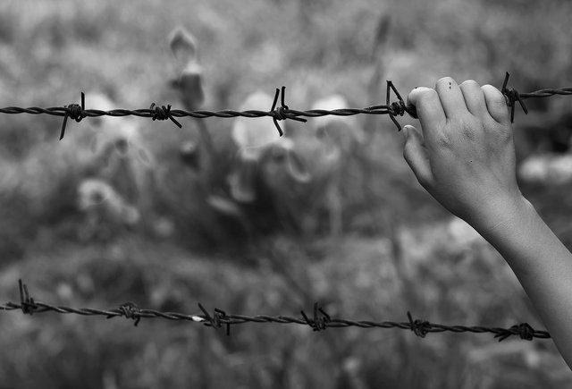 Фото на обложке: shutterstock / ozan solhan 