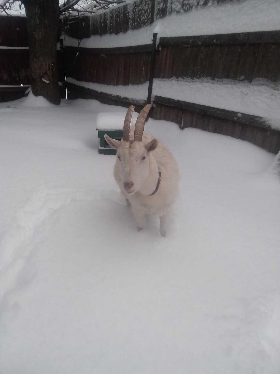 Фото автора. 