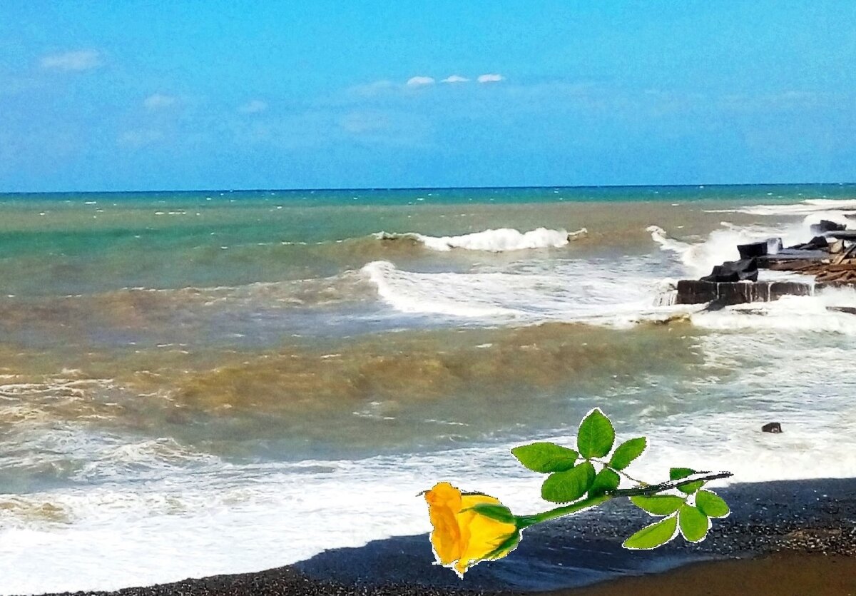 Фотоколлаж автора