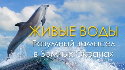 Живые воды (2015) - Документальный фильм