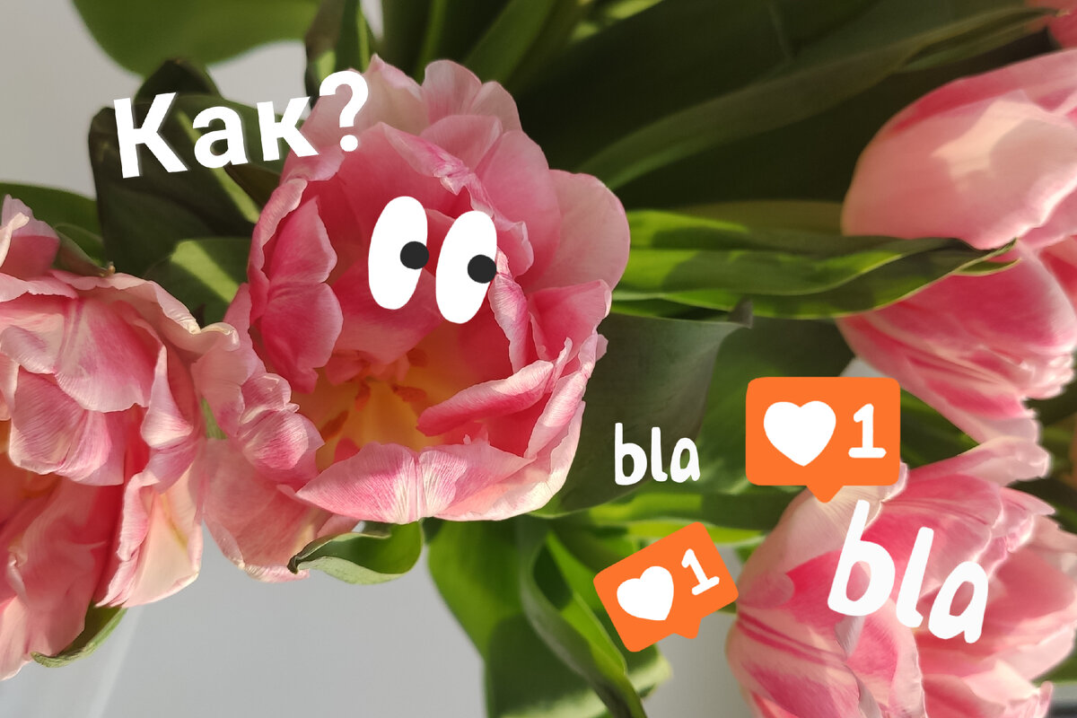 Мое лицо, когда это сработало 