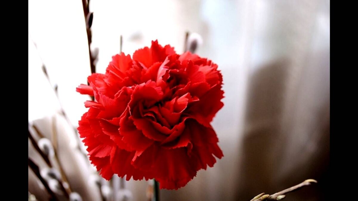 фото из свободного источника