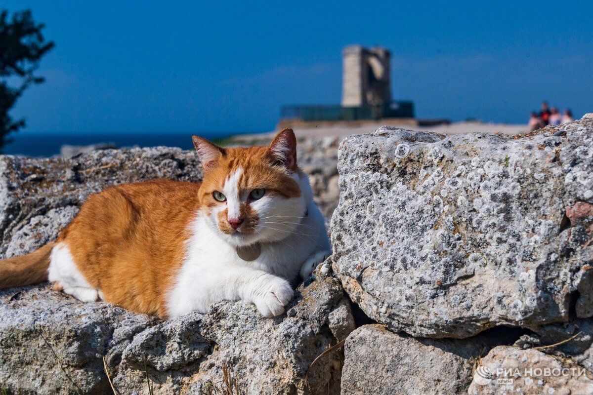 Я в старом-старом городе