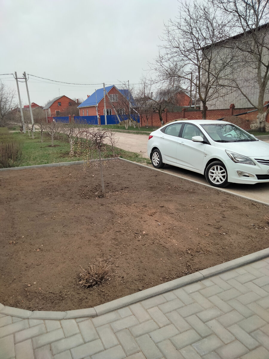 И снаружи по центру такое же дерево. Клумба раз