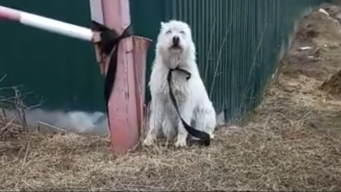 -1-2