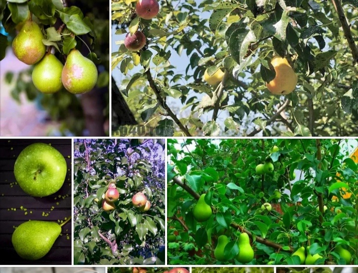 Скриншот автора