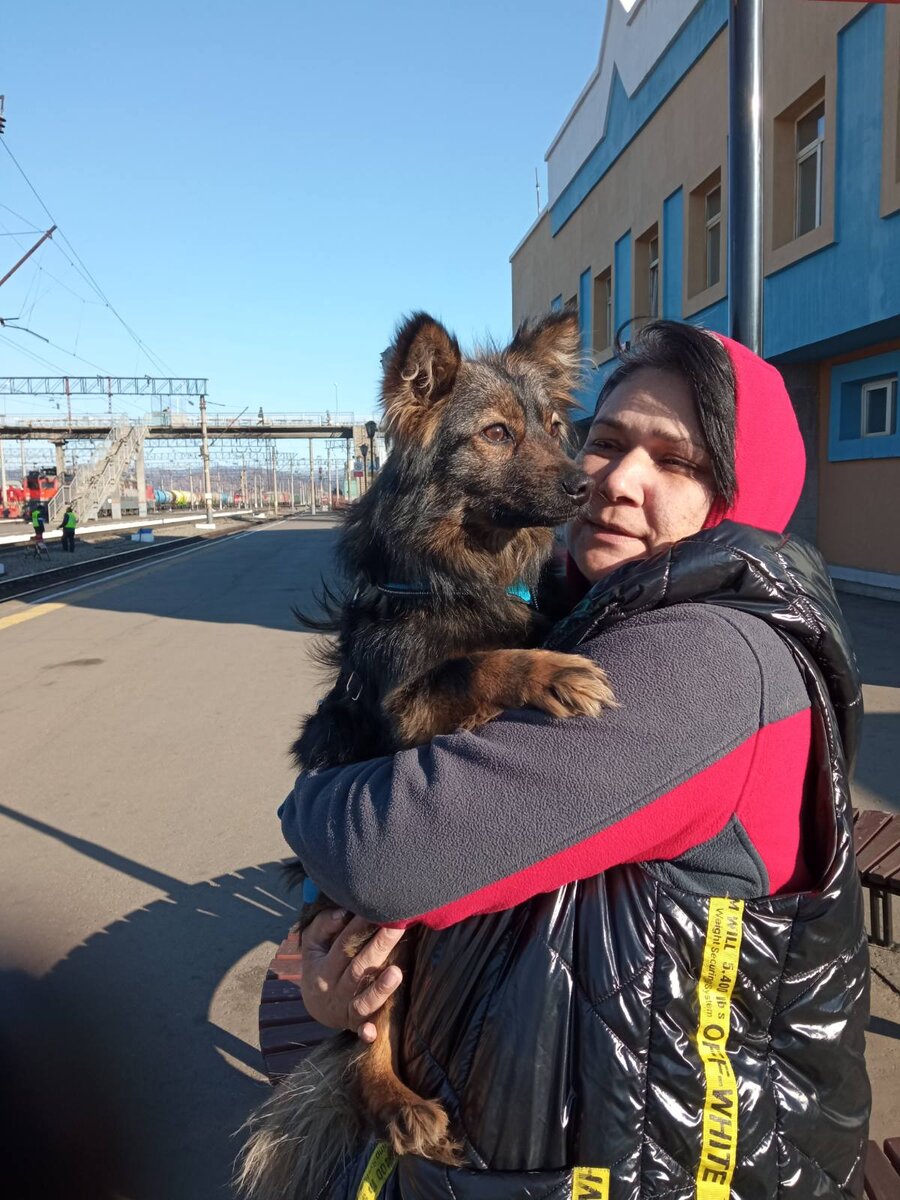 Моя милая Мэри. 