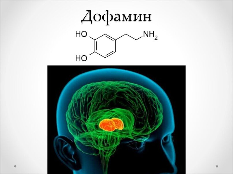 Сахар и Удовольствие совместимы? 