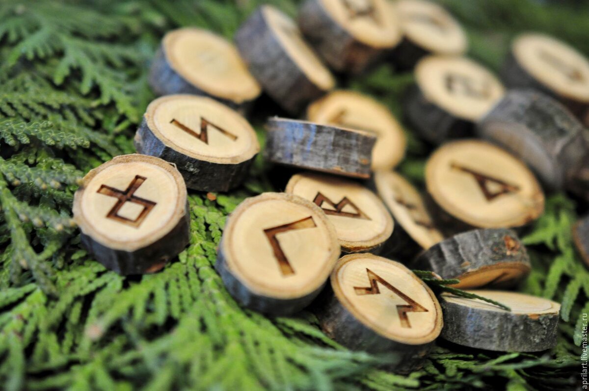 Фото из открытых источников