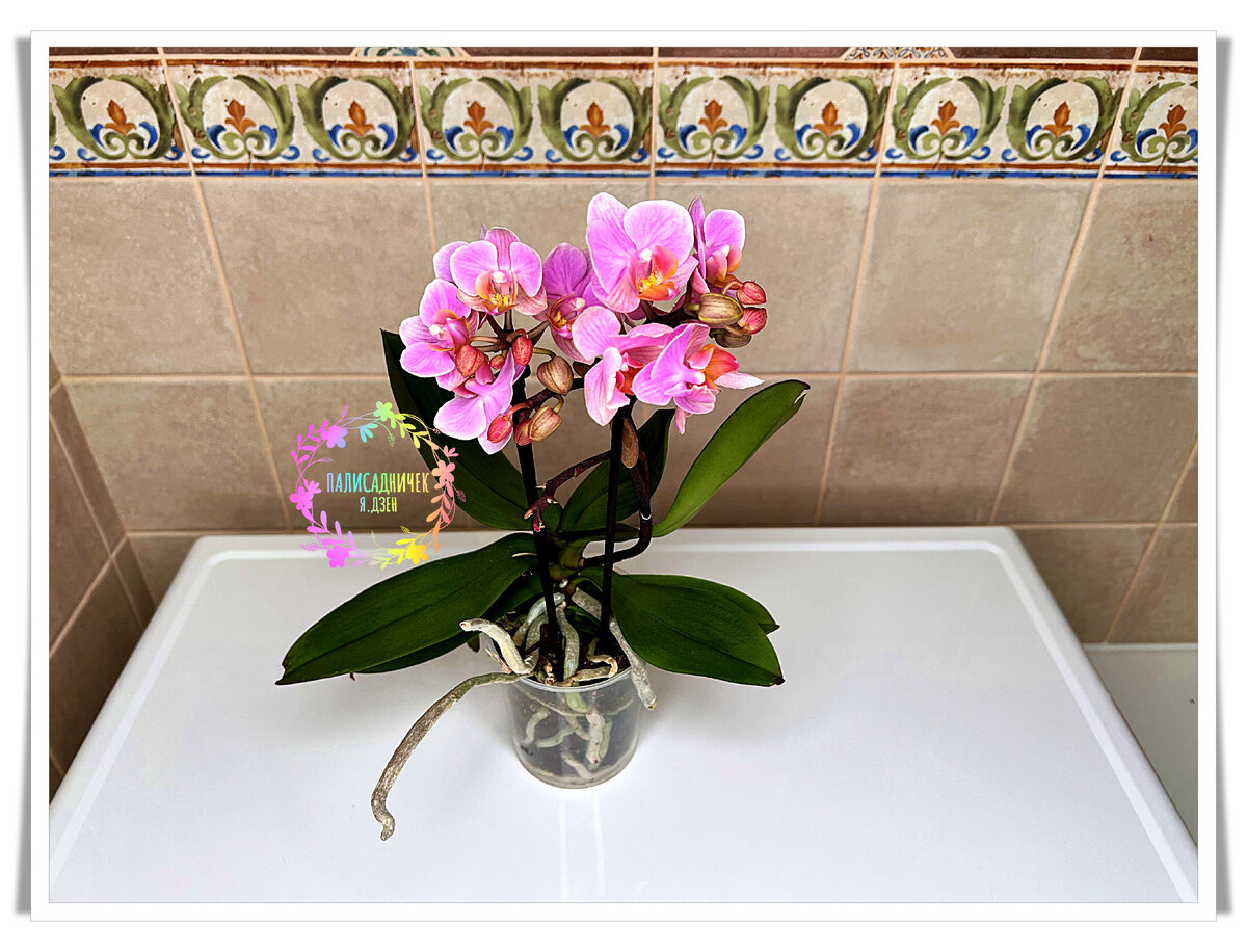 Это он в таком виде прибыл. Листайте дальше, пожалуйста. ⏩⏩