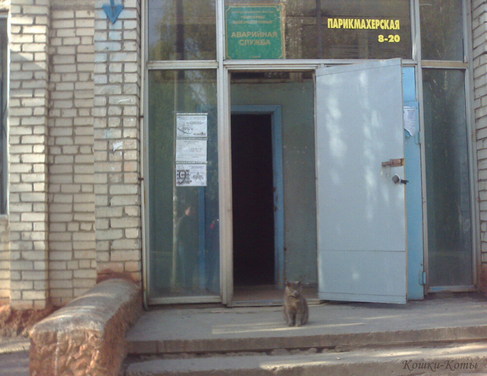 1. Была в парикмахерской