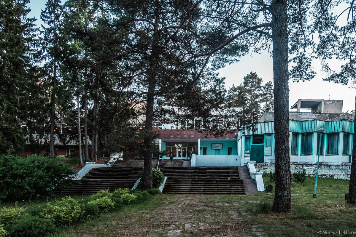 Природа постепенно отвоёвывает своё, а человек ей в этом не препятствует. Тротуарная плитка уже заметно уступает надвигающейся растительности.