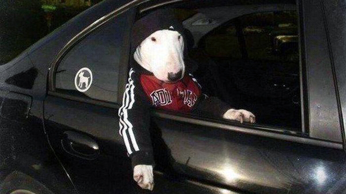 источник фото: bugaga.ru