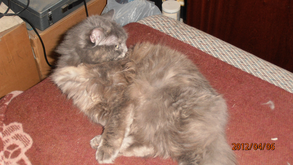 фото автора