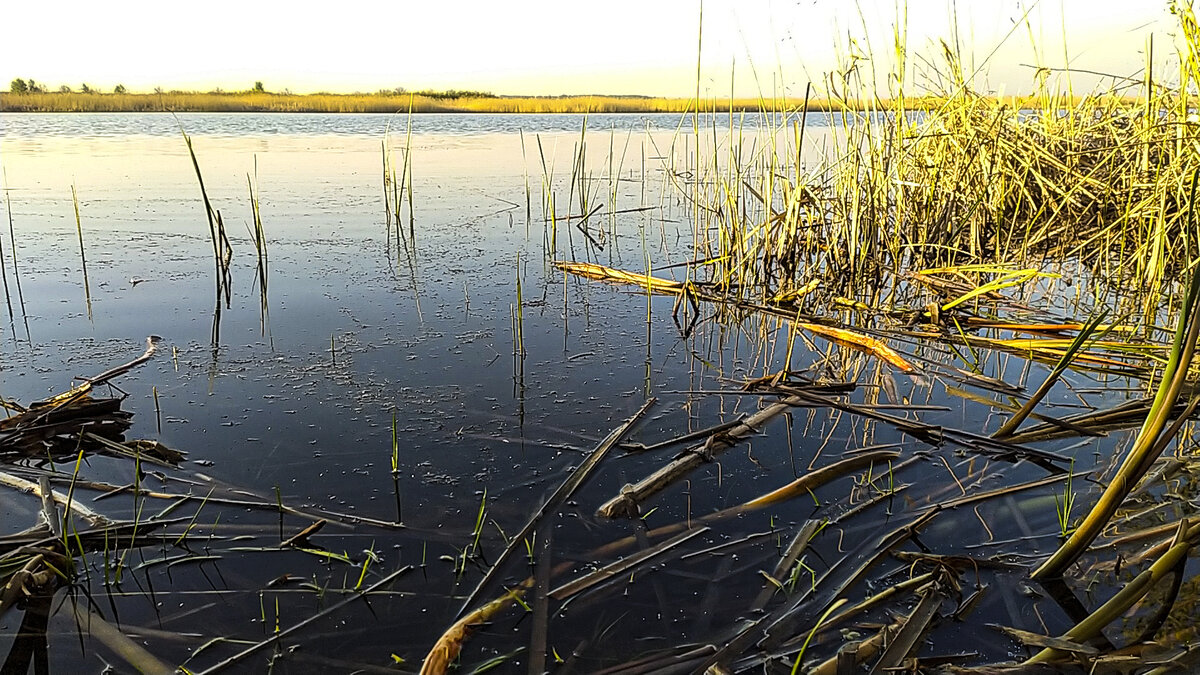 Одинокое дерево на противоположном берегу – отличный ориентир