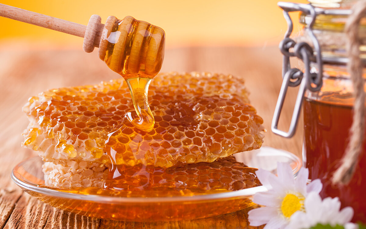 Рецепты из мёда на праздник