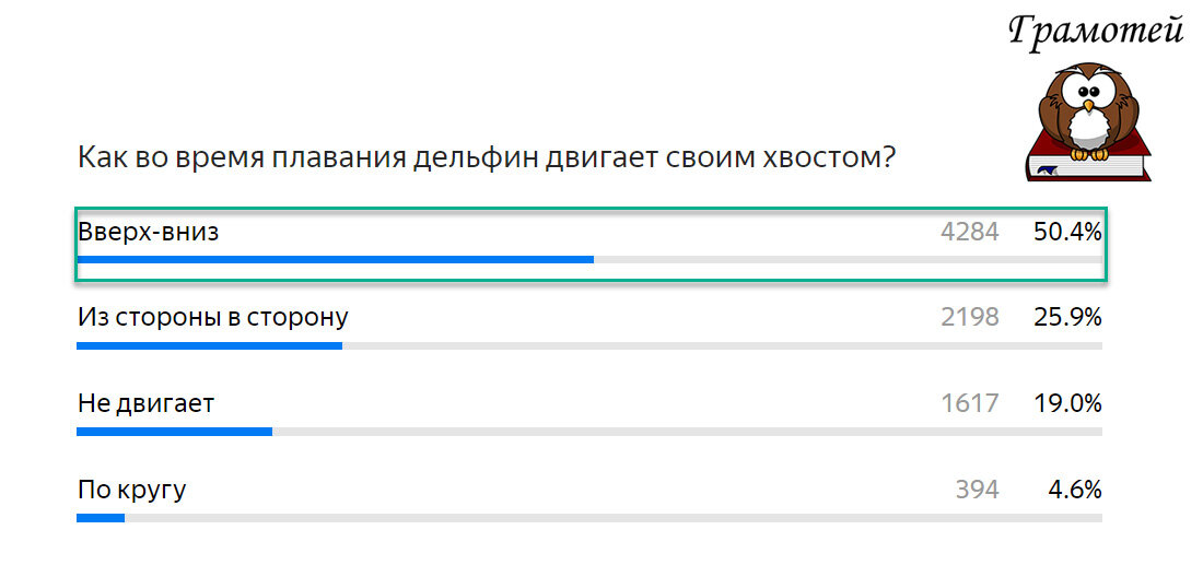 Дельфин передвигается, двигая хвостом вверх-вниз. Фото автора