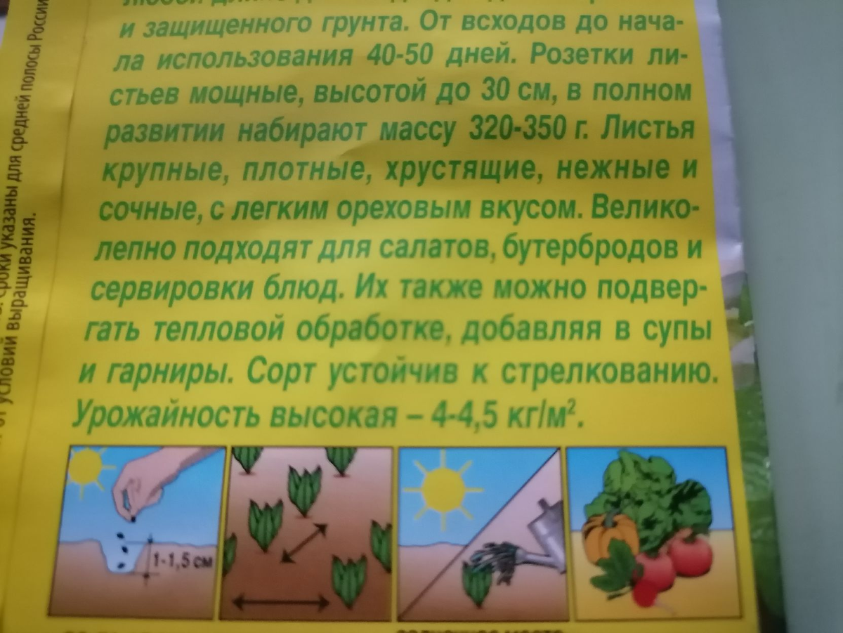 Салаты для горячих блюд, заморозка салата на зиму | уДачный проект | Дзен