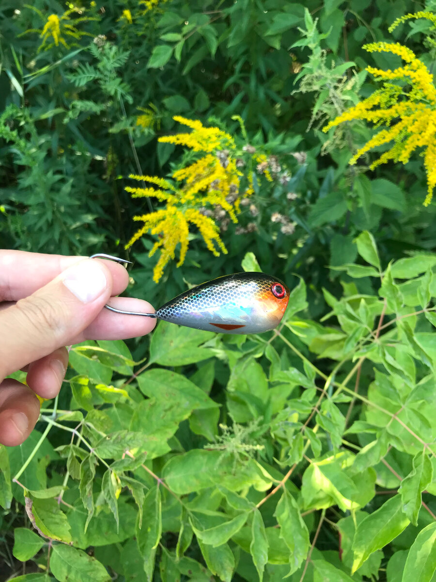 Хорватское яйцо 