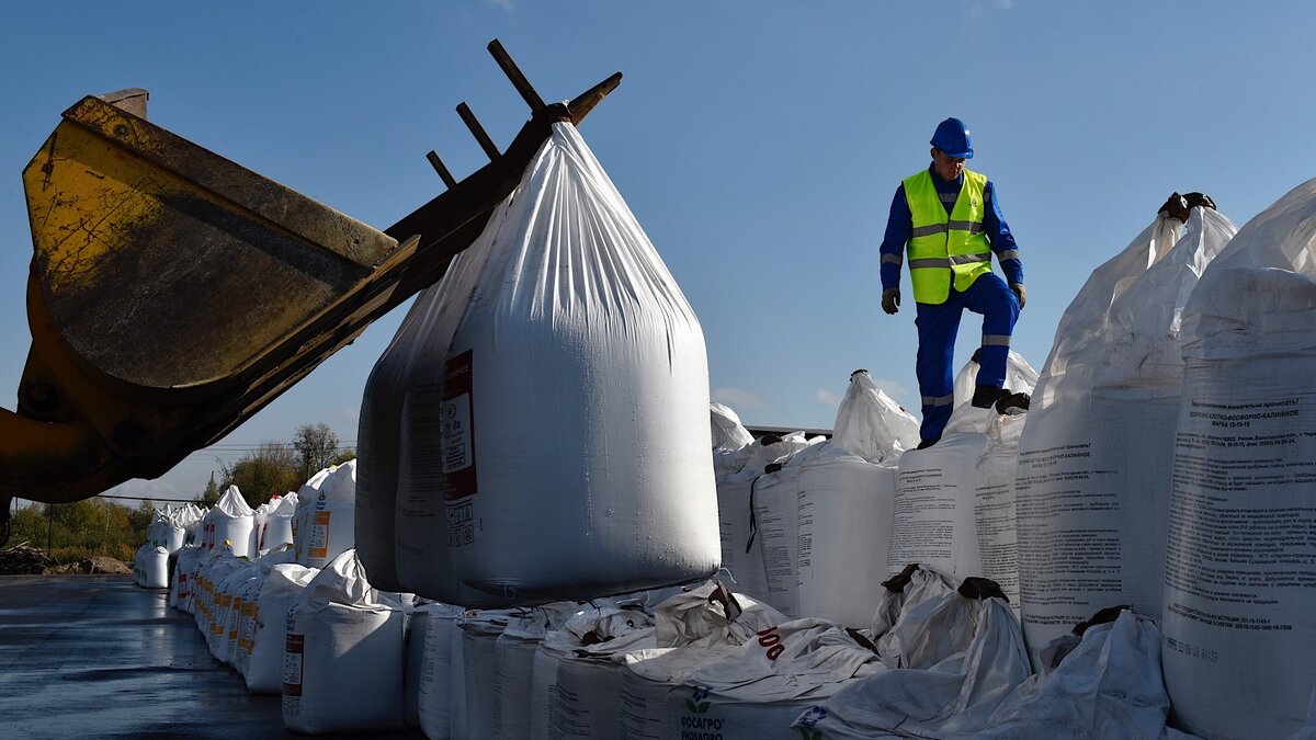    Комплекс фасовки минеральных удобрений дистрибуционно-логистического центра группы «Фосагро» в Брянской области (Фото Владимира Горовых / ТАСС)
