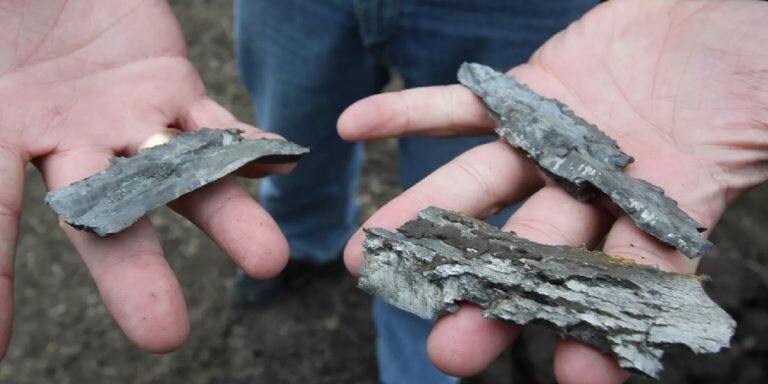 Фото: РИА «Новости» / Сергей Аверин