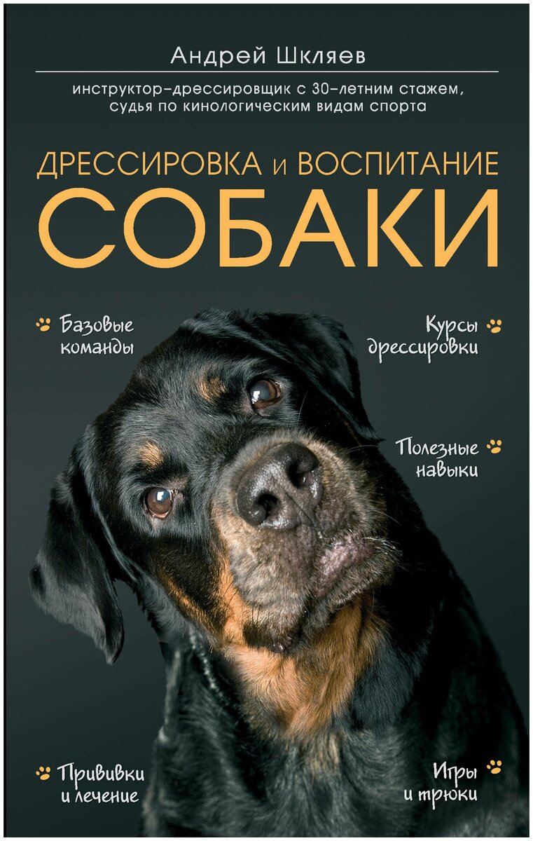 6 интересных книг о собаках, которые понравятся и пригодятся каждому  владельцу | ВетБлог | Дзен