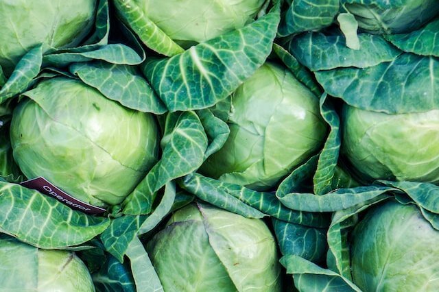     Рецепт идеальной закуски: как приготовить вкусную и хрустящую квашеную капусту?