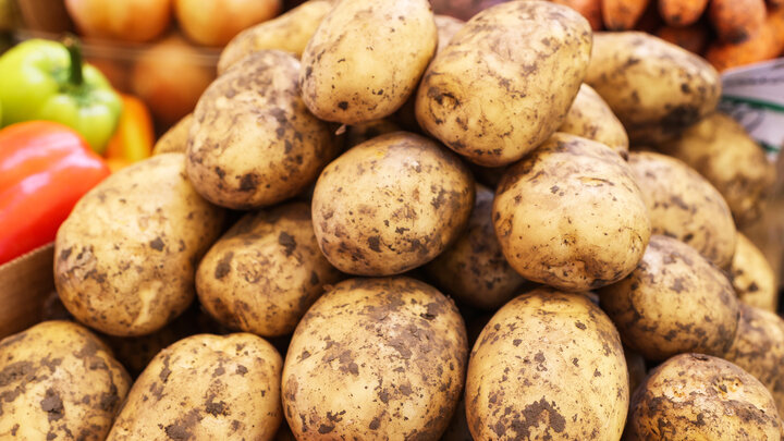 BULKIN SERGEY/GLOBALLOOKPRESS