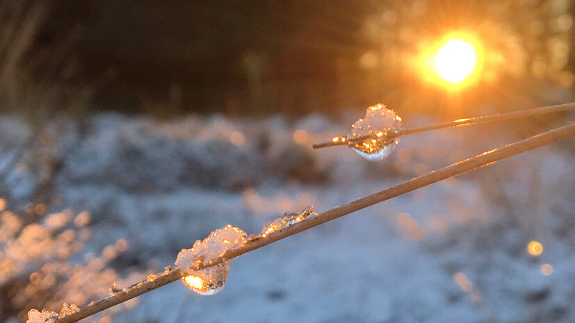   Gettyimages.ru Saskia Pasman / EyeEm