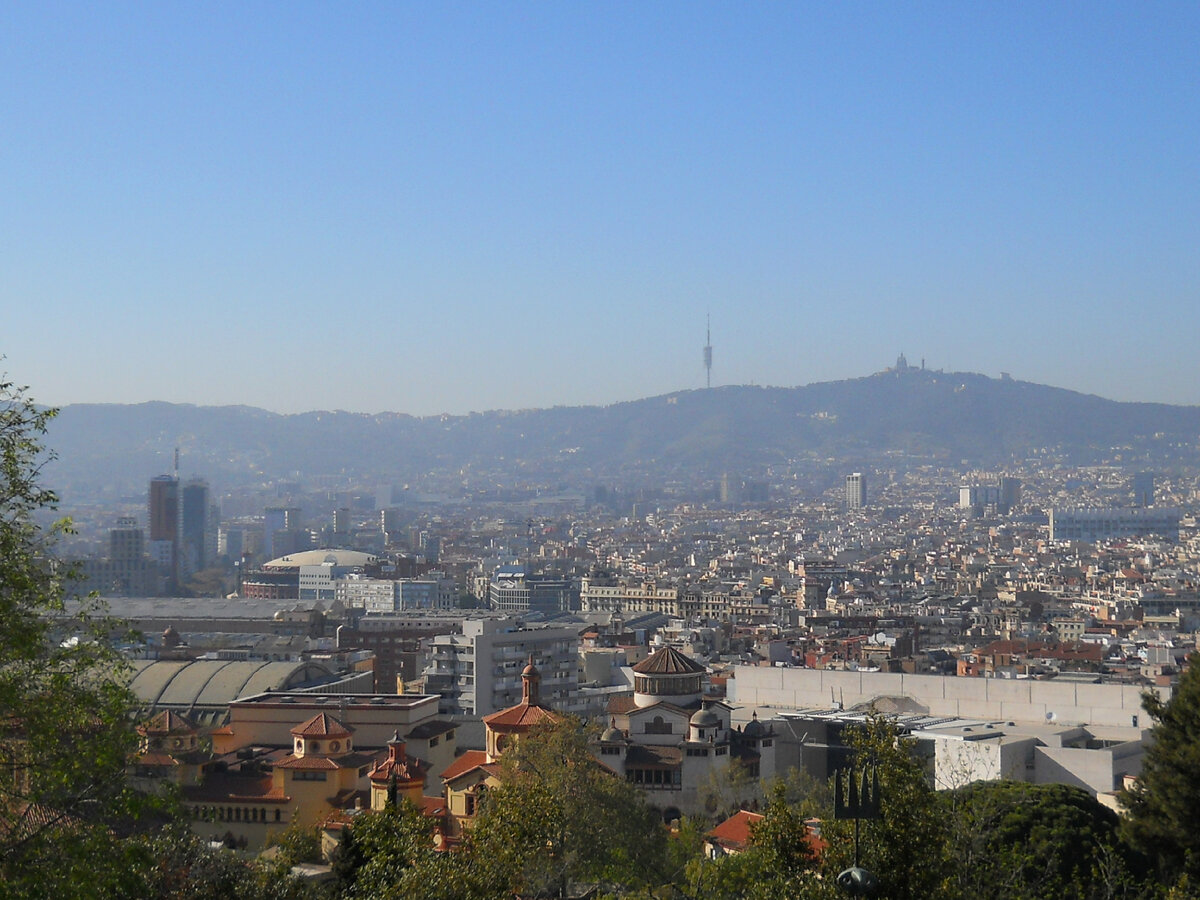 Барселона      2011г.