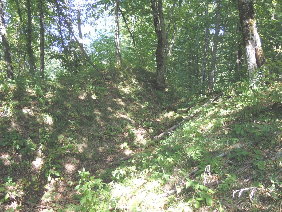 11. Вид из ложбины на северо-восток, если попятиться по ней к западу