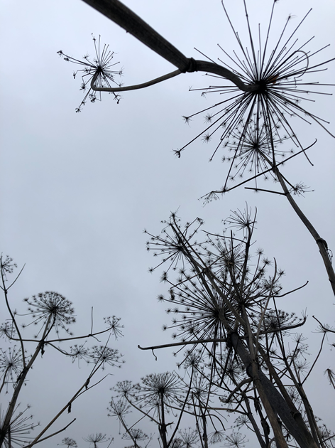 Фото автора. «Враждебный космос».