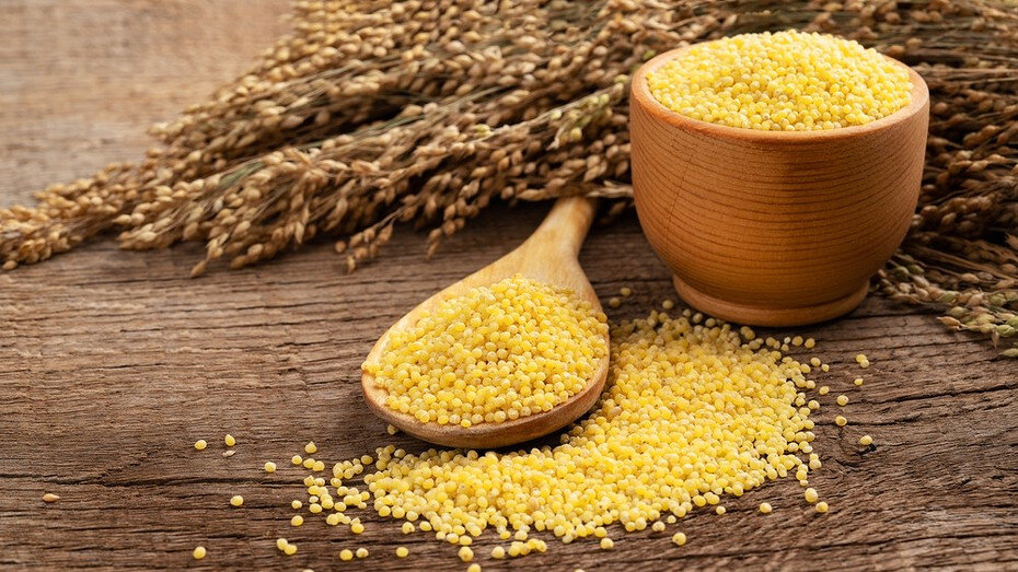     BestPix/ShutterStock/Fotodom.ru