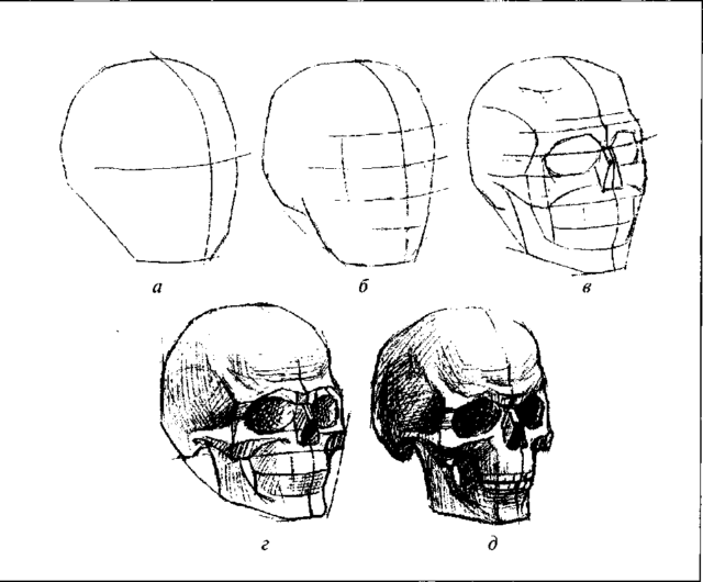 Как нарисовать череп - поэтапное создание рисунка для начинающих