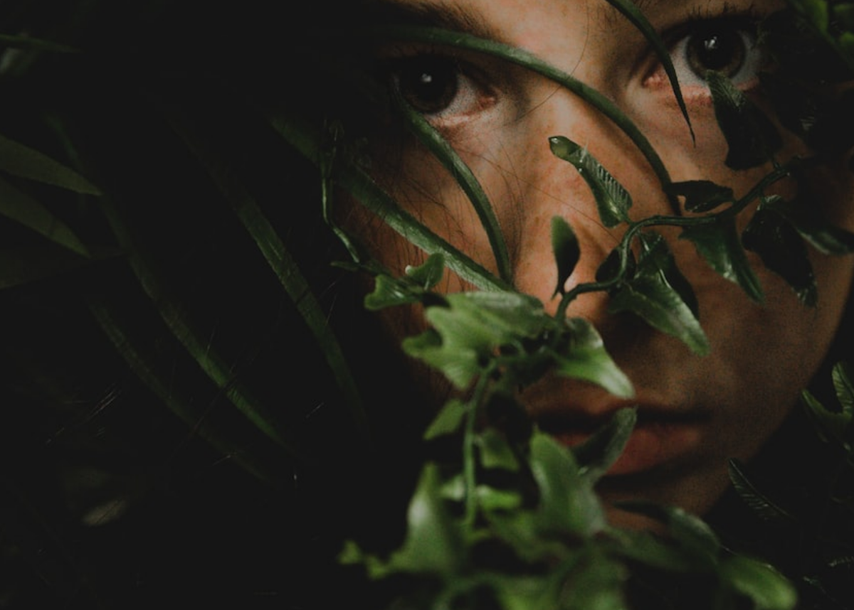 Из ресурсов интернета