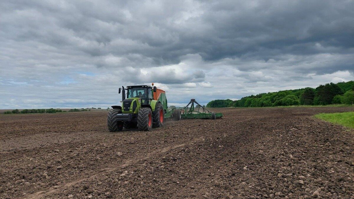 Трактор CLAAS AXION 940 при возделывании рапса. Фото предоставлено CLAAS