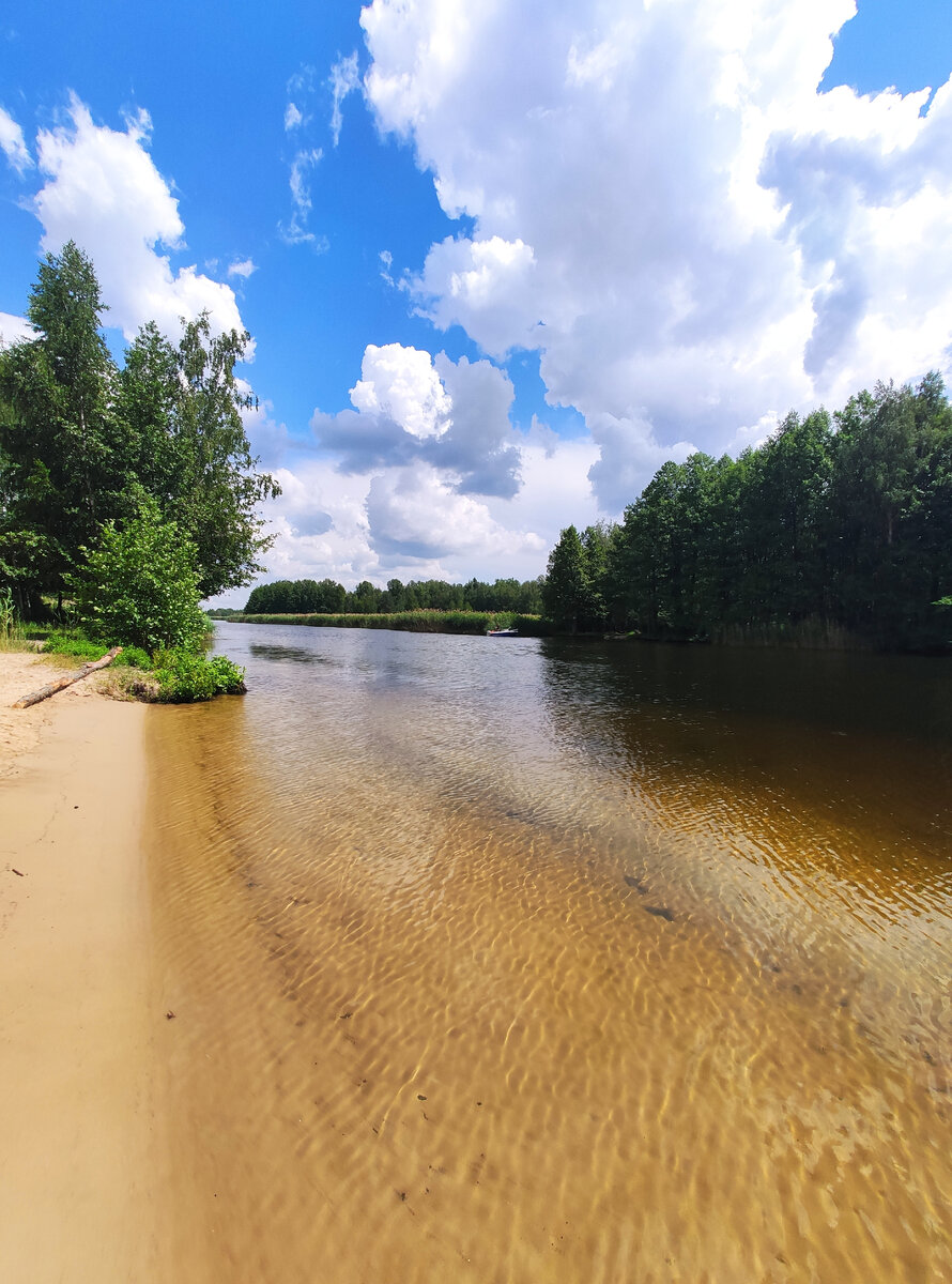 В Рамонь по 