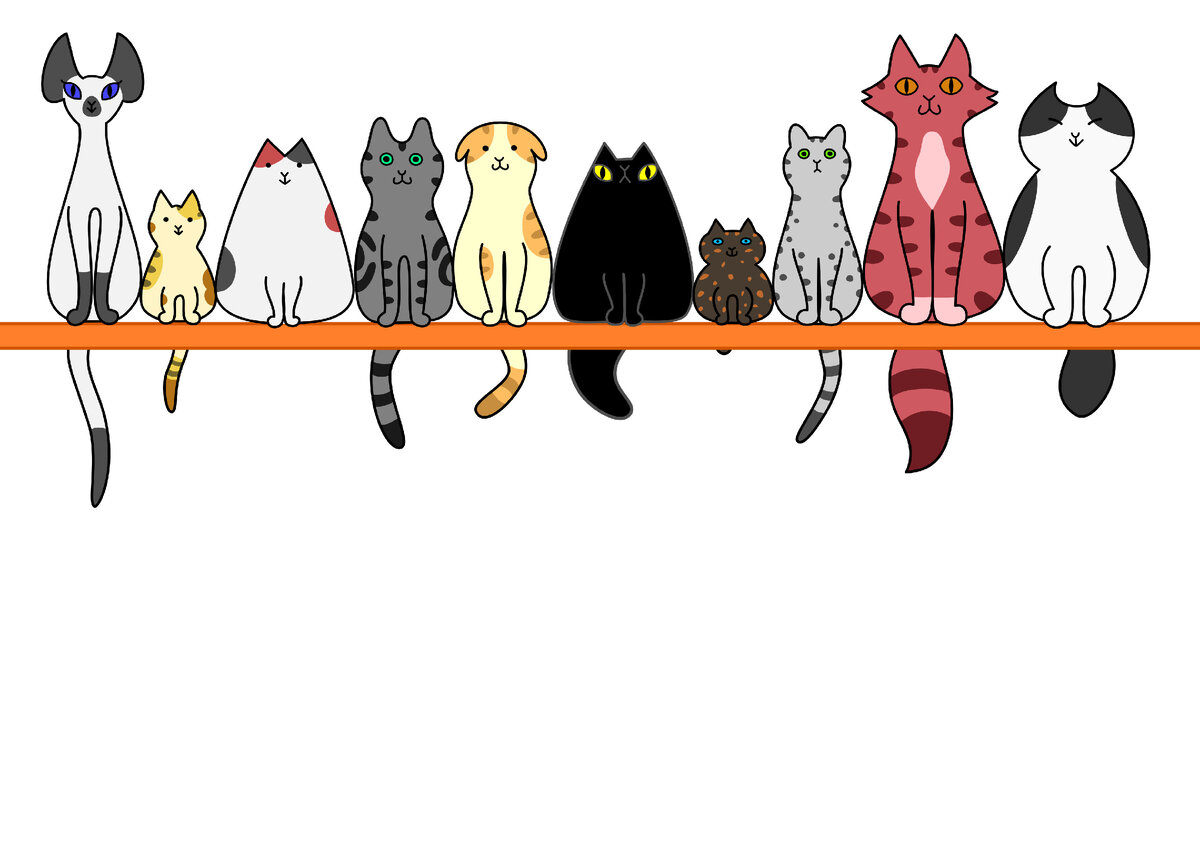 Именно котика!