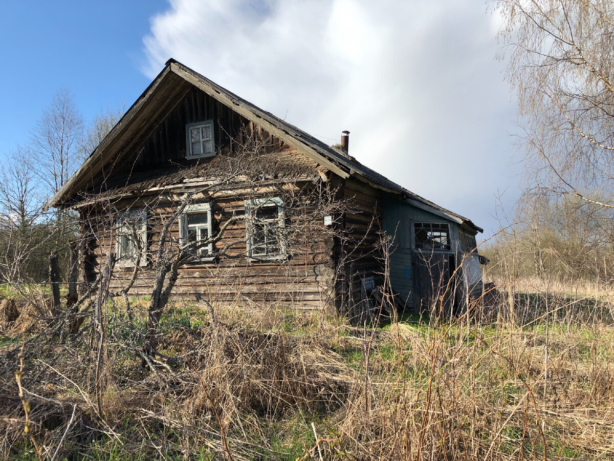 Прошлась по своей деревне и заглянула в заброшенный дом. Показываю, что  было внутри | Тверская - вот она какая | Дзен