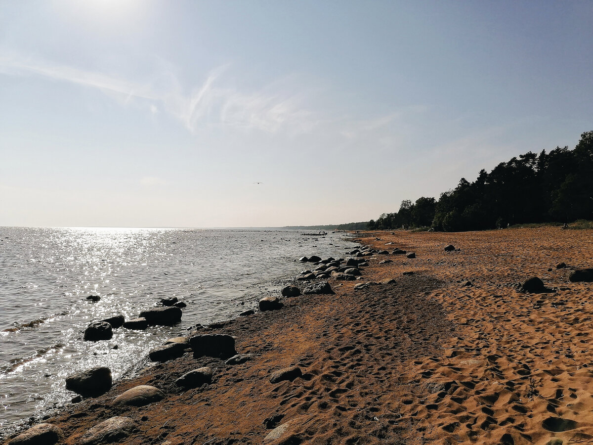 Красоты природы п. Комарово