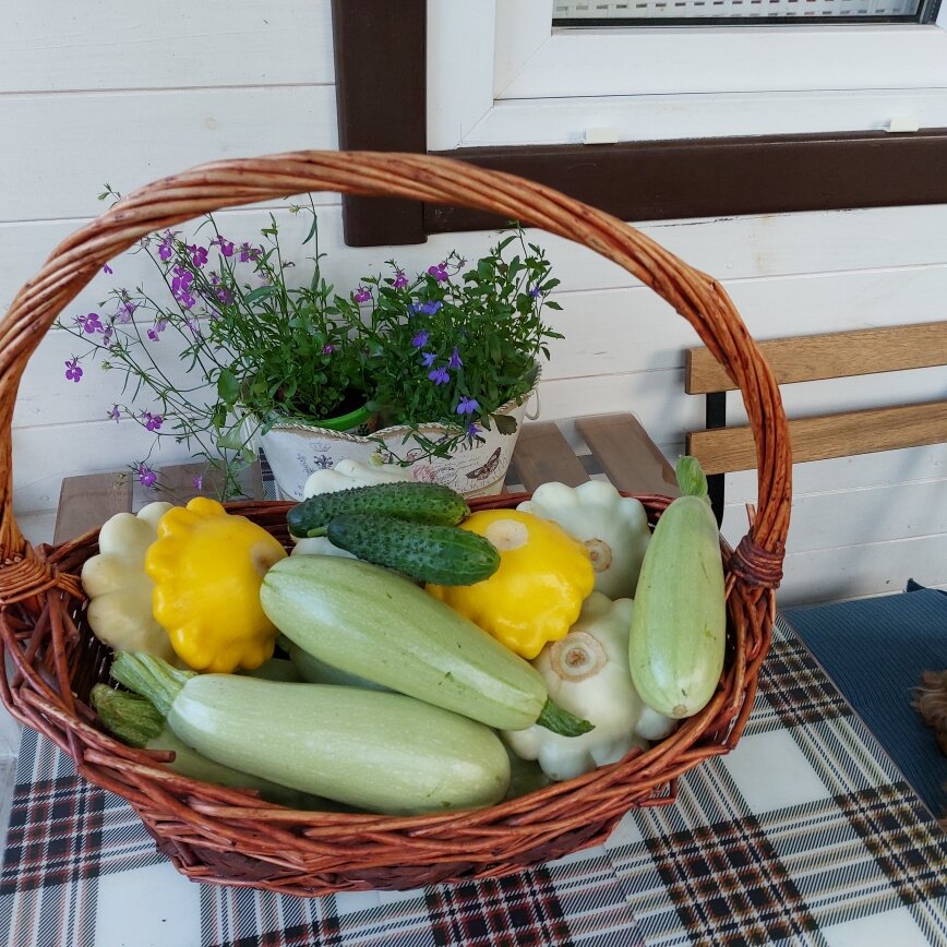 Вот она - долгожданная корзинка с урожаем!