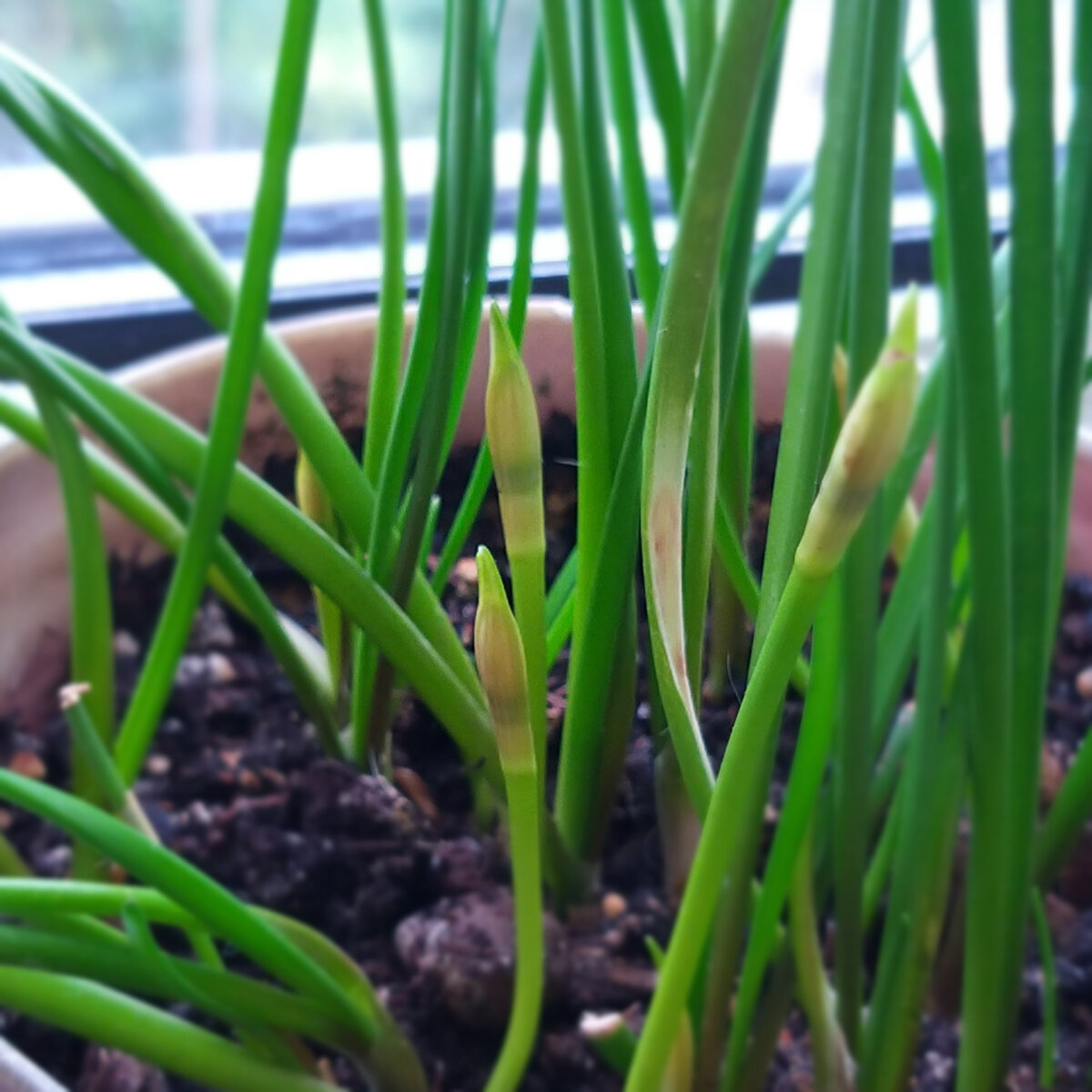 Фото 9 августа 2021 г.