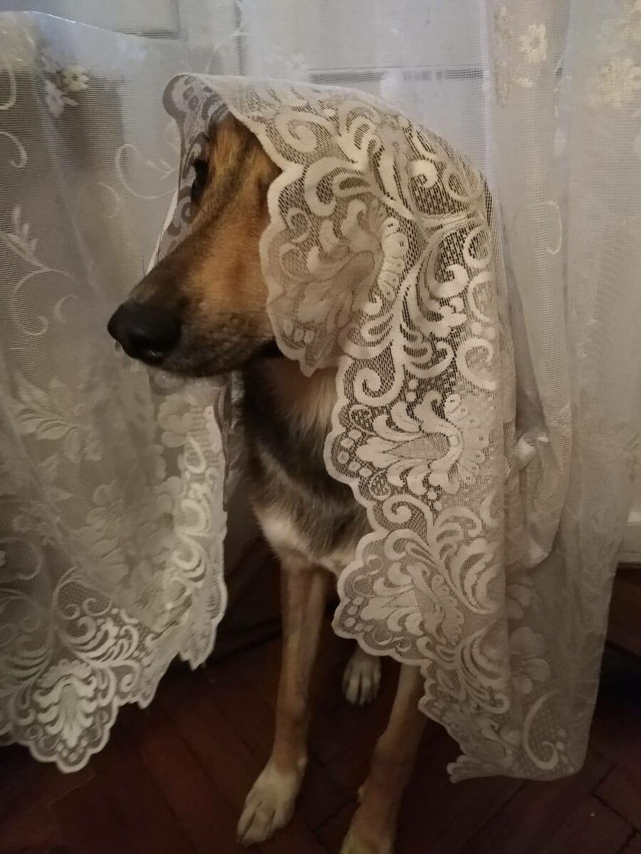 Сфотай, как будто я стесняшка)