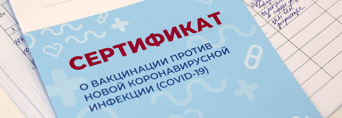 Фото: Владимир Гердо / ТАСС