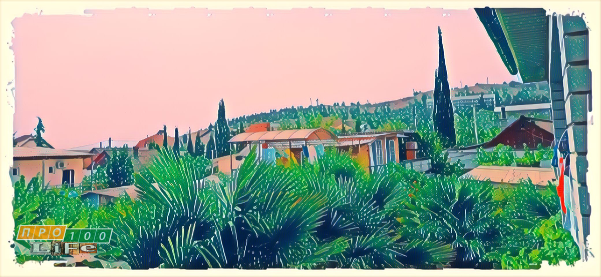 Пальмы под окном