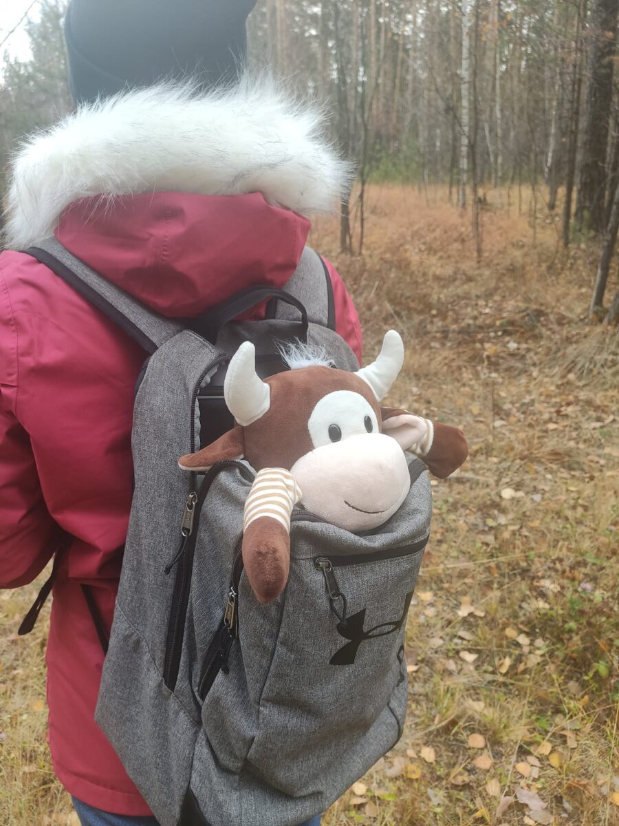 Немного трясло и было страшно. О, где это я?